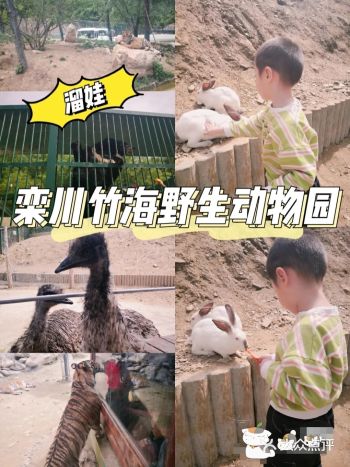 假期溜娃之—栾川竹海野生动物园️