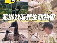 -栾川竹海野生动物园