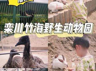 假期溜娃之—栾川竹海野生动物园️
