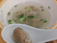 -登兴鱼丸