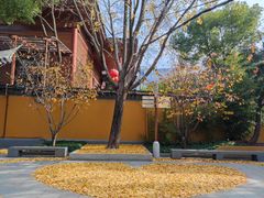 -龙华素斋(龙华路店)