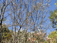 -昆明市金殿名胜区