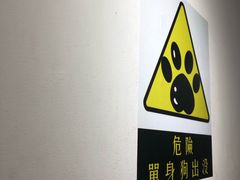 -成都失恋馆