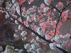 -西安电影制片厂