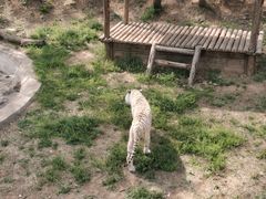 -石家庄市动物园