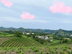 -帐篷客·溪龙茶谷度假酒店