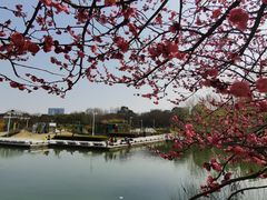 -白塘生态植物园