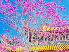 -天竺岩寺