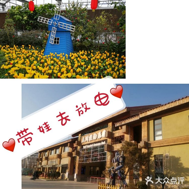溜娃足迹