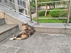 -安徽大学(磬苑校区)