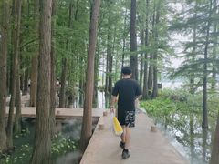 -东湖落雁景区