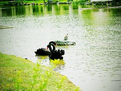 崇明度假游-上海怡沁园度假酒店