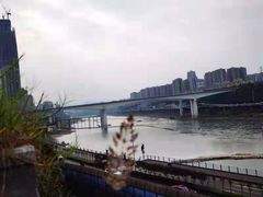 -李子坝梁山鸡(李子坝大鸡哥店)