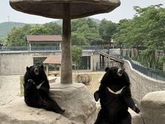 -石家庄市动物园