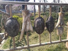 -河北省第三届（邢台园博园）园林博览会