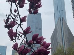 -陆家嘴中心绿地