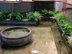 -旺顺阁鱼头泡饼(小红门店)