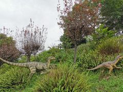 -自贡恐龙博物馆