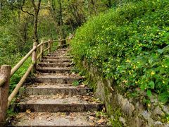 -九峰山