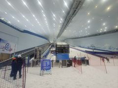 -哈尔滨热雪奇迹