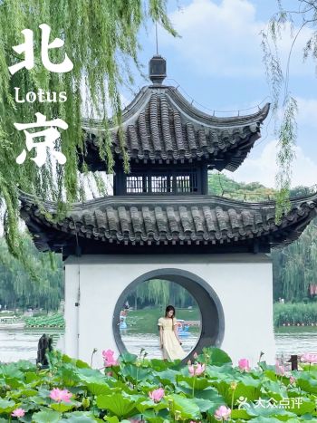 又到荷花盛开时|古风配荷花简直绝美