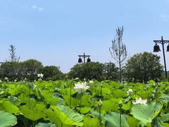 -重元寺香积厨素斋馆