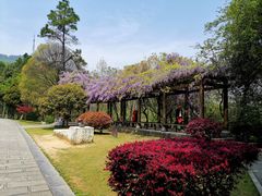 -敬亭山风景名胜区