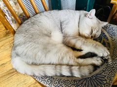 -不舍昼夜咖啡馆