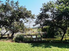 -中国科学院西双版纳热带植物园