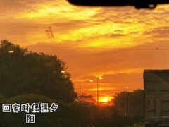 -广东惠东海龟国家级自然保护区