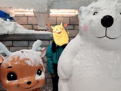 -长沙湘江冰雪世界