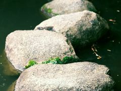 -燕晗山郊野公园