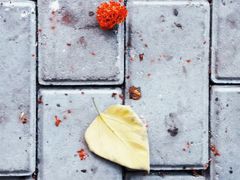 -长椿街(地铁站)