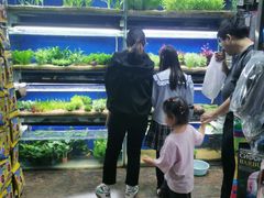 -花鸟鱼虫鲜花绿植市场(玉泉路店)