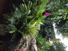 iphone_upload_pic-稷泽·海丽宾雅温泉度假酒店