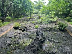 -海口火山口国家地质公园