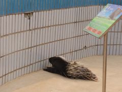 -石家庄市动物园