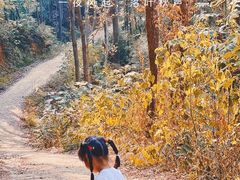 -青龙山国家森林公园