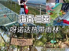 -呀诺达热带雨林