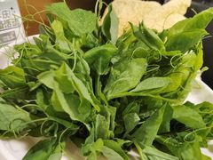 -烹然四季椰子鸡火锅(团结湖总店)