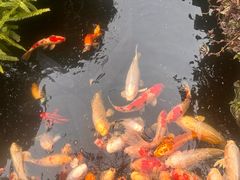 -聚福宝合苑食府(南头镇店)