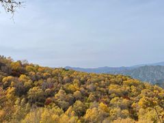 -灵山