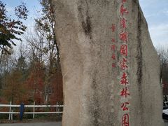 -合肥滨湖国家森林公园