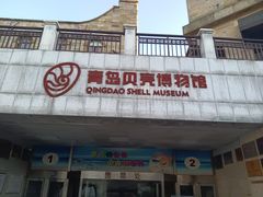 -青岛贝壳博物馆