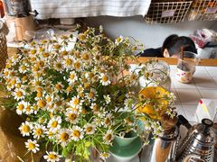 -春风十里咖啡馆