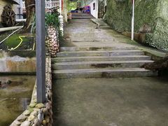 -洞背山庄(洞背院区式管理小区店)