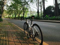 -南国桃园旅游度假区