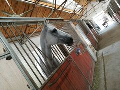 -松声马术俱乐部