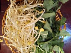 -野菌皇海景野生菌火锅(滨海大道店)