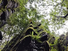 -梭布垭石林景区